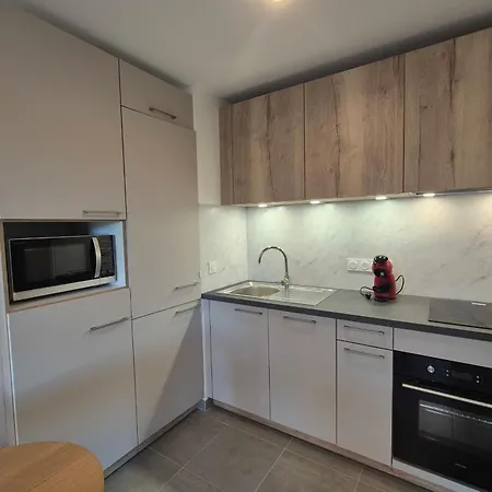 Apartment New ! Altitude 1327 At The Foot Of The Slopes La Feclaz